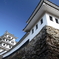 郡上八幡城　