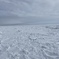 流氷クルーズ