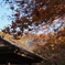 紅葉18 2019 FUJINON F2.8 3.5cm/EPM1