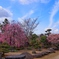 日本庭園