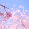 ひと足先に。。