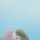 いただきます