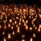 CandleJUNE CandleHarmony