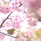 春の陽気