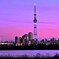 スカイツリー夕景