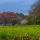 Spring Has Come