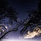 星屑の空