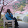 河津桜