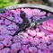 花釣り