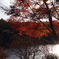 紅葉19 2019 FUJINON F2.8 3.5cm/EPM1