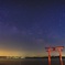 白鬚神社