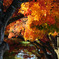 TEST_UP_2010_紅葉_03