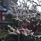亀戸天神