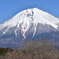 Mt.Fuji