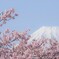 富士と桜