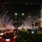 イル見　表参道３