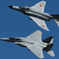 2009岐阜基地航空祭F-15