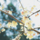 蕩ける