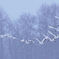 雪の降る中を