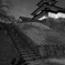歴史に学ぶ