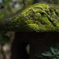 苔むした燈籠