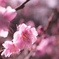 祈り