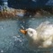 超気持ちいい〜♪