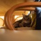 ひとんちのねこ