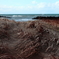 冬の海岸、