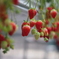 MINOLTA NEW MD F1.4 03