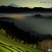 Misty Green