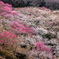 春山
