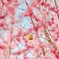 それでも春は来る【其の四】
