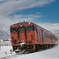 雪景色とディーゼル列車