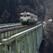 TADAMI LINE