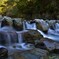 DSC_7271 (2)
