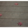Red leaves