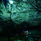夜のベンチと梅の花