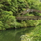 橋と川