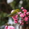 3月5日 岡本公園