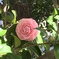 今年も最高の優しい笑顔(^^)