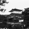 金閣