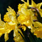 IMG_7783_DxO