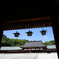 奈良 橿原神宮