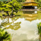 金閣寺
