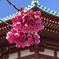 上野弁天堂