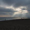 Shine a light