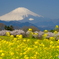 古道からの絶景