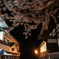 二寧坂の夜桜