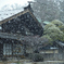 小野宿に舞う
